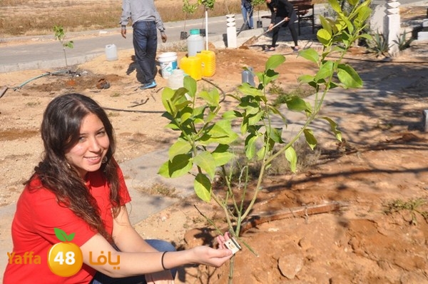 ashjar taso 0328 (26).JPG